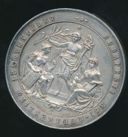 cca 1930. "Budapesti Női-Ruhakészítő Ipartestület" ezüstözött Br díjérem (d=50mm) T:2 ph.