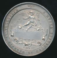 cca 1930. "Budapesti Női-Ruhakészítő Ipartestület" ezüstözött Br díjérem (d=50mm) T:2 ph