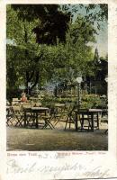 Vienna Restaurant Tivoli (small tear)