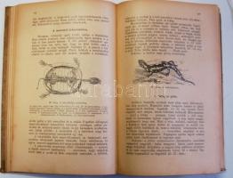 A Magyar Királyi Csendőrségi Zsebkönyv Szerkesztő Bizottsága: Általános ismeretek tára a M. kir. cse...