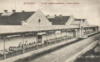 Algyógy iron works sanatorium