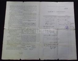 1907 Kitöltött gyűjtőív a zalaegerszegi Csány-szobor felállítására nyomtatványként elküldve