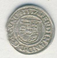 I. Ferdinánd 1557. Denár Ag (ÉH.745a) T:2