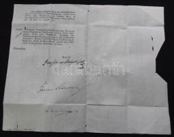 1811 Helytartótanácsi leirat Mednyánszky János báró, Bécs-hű főúr tanácsos, Latinovits János és Lová...