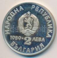 Bulgária 1989. 2L "Kenu, kajak" T:PP / 
Bulgaria 1989. 2 Leva "Rowers" C:PP