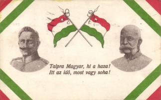 Viribus Unitis, Wilhelm and Franz Joseph, Hungarian patriotic propaganda