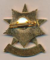 1970. "A Munkaügy Kiváló Dolgozója" kitüntetés dísztokban :T1