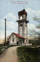 Pécs Misina Kiss József-kilátó, Mecsek Egyesület