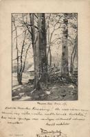 Erdő részlet, művész aláírásával, Countryside forest, artist signed