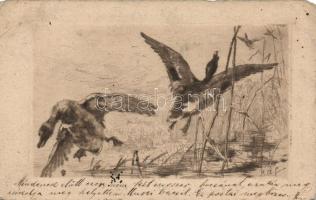 Mallards, etching