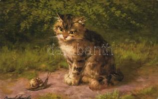 Cat and snail s: Bernard Neuville