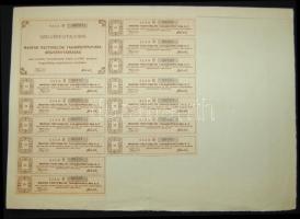 1911. "Magyar Tisztviselők Takarékpénztára Részvénytársaság" részvénye 250K-ról szelvények...