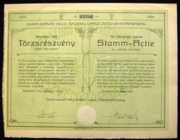 1912. Duna-Szávai Helyi Érdekű Vasút Részvénytársaság Törzsrészvénye 200K-ról magyar és német nyelven szelvényekkel szárazpecséttel,szép állapotban