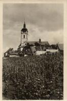 Melnik church