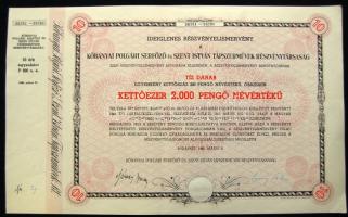 1946. Kőbányai Polgári Serfőző és Szent István Tápszerművek Részvénytársaság 2000P-ről szóló ideiglenes részvényelismervénye,kiváló állapotban