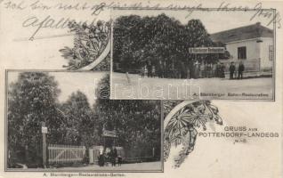 Pottendorf-Landegg Restaurant Starnberger