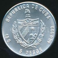 Kuba 1986. 5P Ag "XV. Téli Olimpia" T:1 Csak 10000db!
Cuba 1986. 5 Peso Ag "Winter Ol...