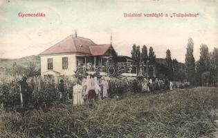 Gyenesdiás Balatoni vendéglő a Tulipánhoz