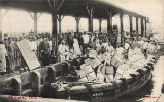 Colombo tea shipping