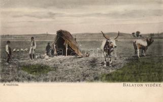 Balaton vidéke, vezérbika