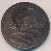1925. "Jókai Mór" Br emlékérem. Szign.Berán Lajos T:3