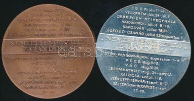 1994. "Nemzeti Engesztelő Zarándoklat" ezüstözött ffém és Br emlékérem pár Szign.Bozó T:BU...