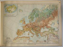 cca 1950 Német gazdasági és politikai világatlasz