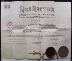 1948 Orvosi diploma jó állapotú angyalos Kossuth-címeres viaszpecséttel