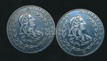 2db horgany katonagomb Mária Terézia királynő domborműves képmásával, "IMP.Hun.Boh.Reg.M.Theresia D.G.R." felirattal dísztokban / 2 zinc military button with Maria Theresia