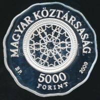 2009. 5000Ft Ag "Dohány utcai zsinagóga" T:PP