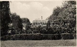 Szolnok, Park