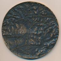 1976. "Az Orenburgi Gázvezeték Építéséért 1975-76" nagyalakú Br emlékplakett (d=10cm) ered...