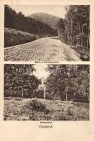 Diósjenő erdő- és útrészlet