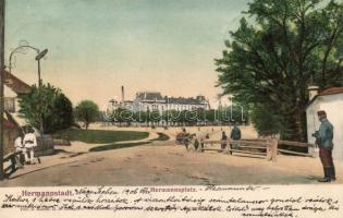 Nagyszeben Hermann square