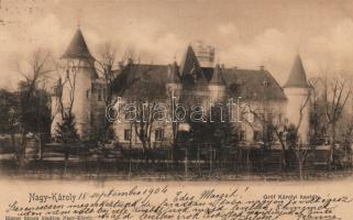 Nagykároly Károlyi castle