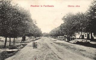 Ferencfalva (Fericanci) main street