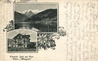 Zell am See Villa Wisgrill