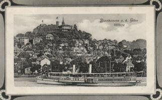 Blankenese with steamer