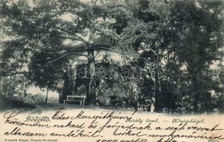 Gödöllő király domb