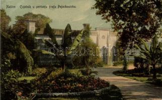 Nekcse (Nasice) Pejachevich castle