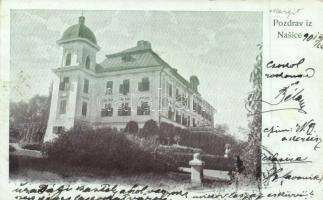 Nekcse (Nasice) castle