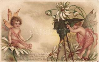 Flower fairies litho (EK)
