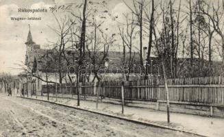 Budapest XV. Rákospalota Wagner-intézet