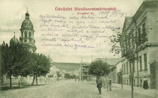 Dicsőszentmárton Erzsébet street