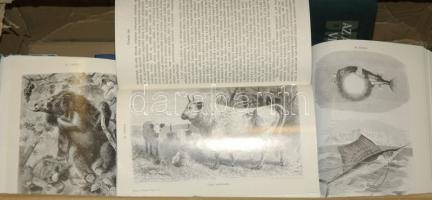 Alfred Brehm: Az állatok világa I-XIX. kötet. Reprint kiadás (1 kötet kivételével teljes: 18.). Szép...