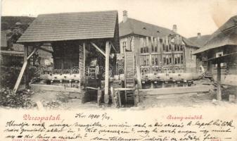 Verespatak gold mine (fl)