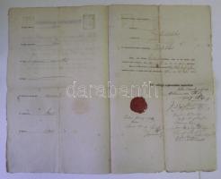 1866 A Dunaföldvári Református Középtanoda érettségi bizonyítványa, Gönczy Pál rektor és még 8 klf a...