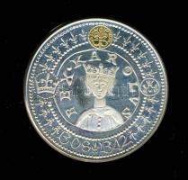 1992. "MÉE Alba Regia Szervezete-Károly Róbert" Ag 35g emlékérem (d=42,5mm) szign:Sz.G. T:...