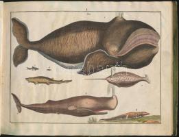 Abbildungen der merkwürdigsten Gegenstande aus dem Thier, Pflanzen - und Mineral - Reiche. .. .
Wien...