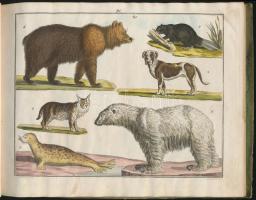 Abbildungen der merkwürdigsten Gegenstande aus dem Thier, Pflanzen - und Mineral - Reiche. .. .
Wien...